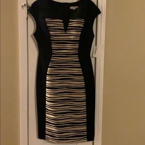 Dress Barn women’s dress